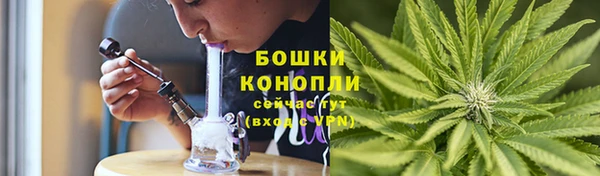 гашик Богородск