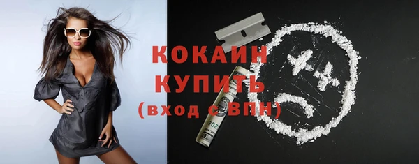 шишки Богданович