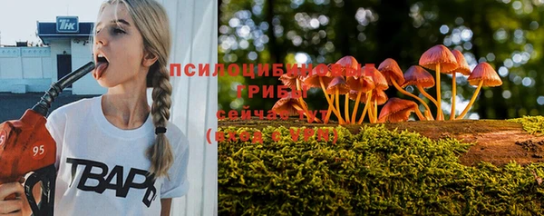 гашик Бугульма