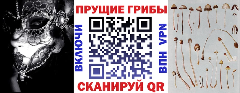 Псилоцибиновые грибы Psilocybine cubensis Медвежьегорск